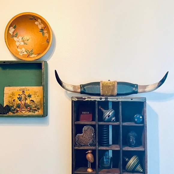 Authentic Bull Horns Western Decor Taxidermy Ranch House Man Cave Wall Decor - Picture 4 of 10